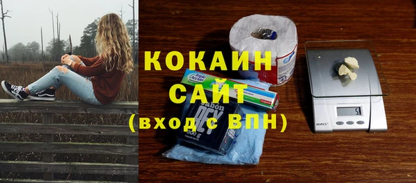 винт Коряжма