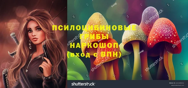 мяу мяу мука Кодинск