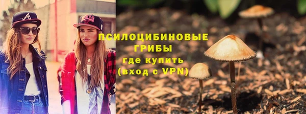 винт Коряжма